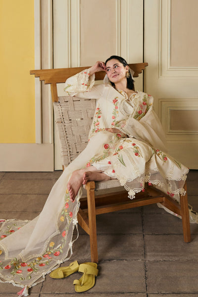 3 Piece - Unstitched Dhanak Stuff Full Embroidered Suit With Full Embroidered Shawl With Extra Patches